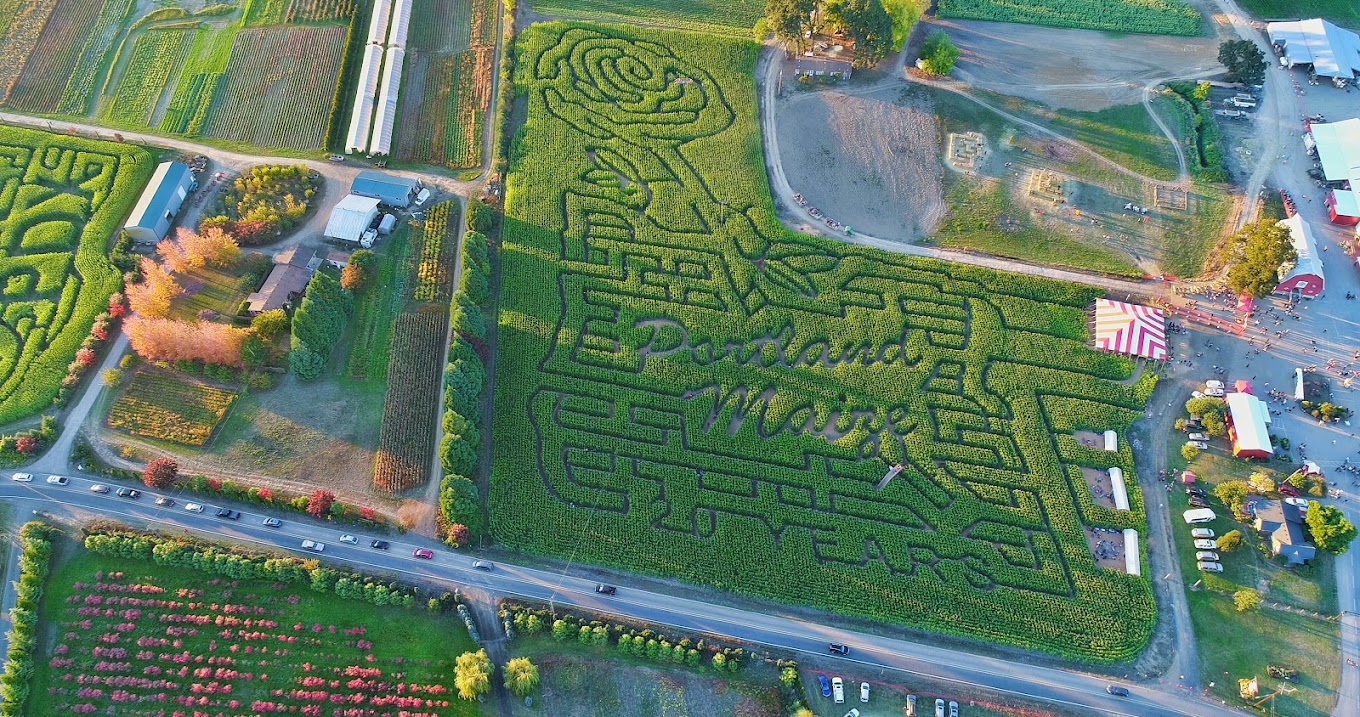Photo via Manases Ramos via Google Local. A previous year's corn maze.