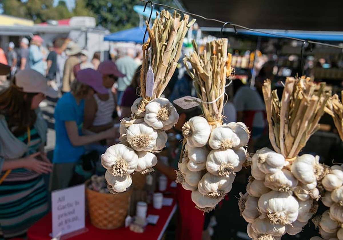 garlic-festival garlic festival oregon