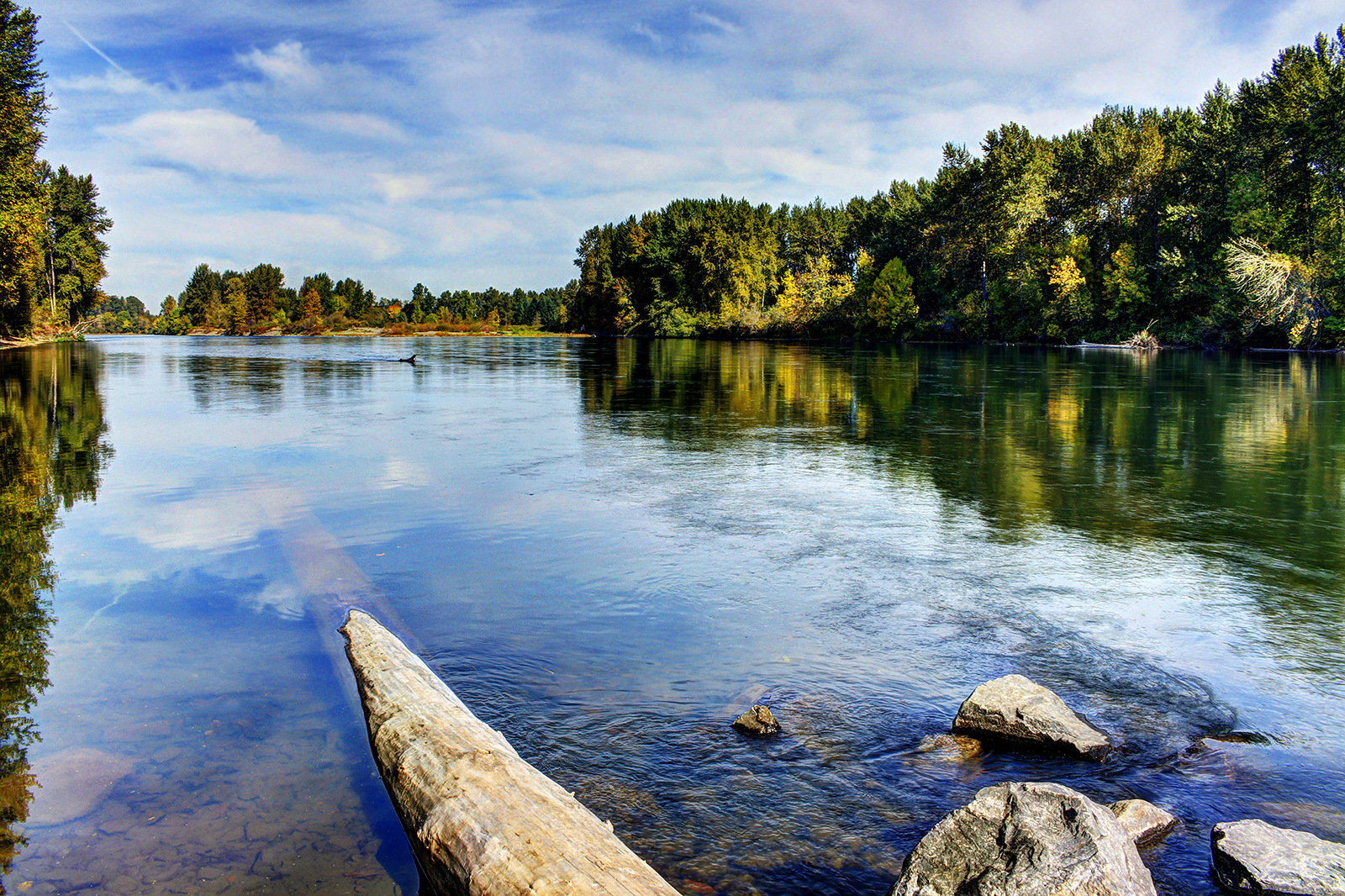 Calm,Late,Summer,Morning,On,The,Willamette,River,,Oregon. willamette river