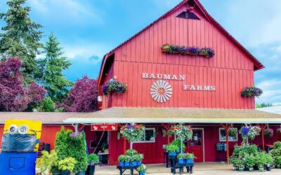 The Oregon Pumpkin Patch That Feels Like Stepping Into a Hallmark Movie This Fall