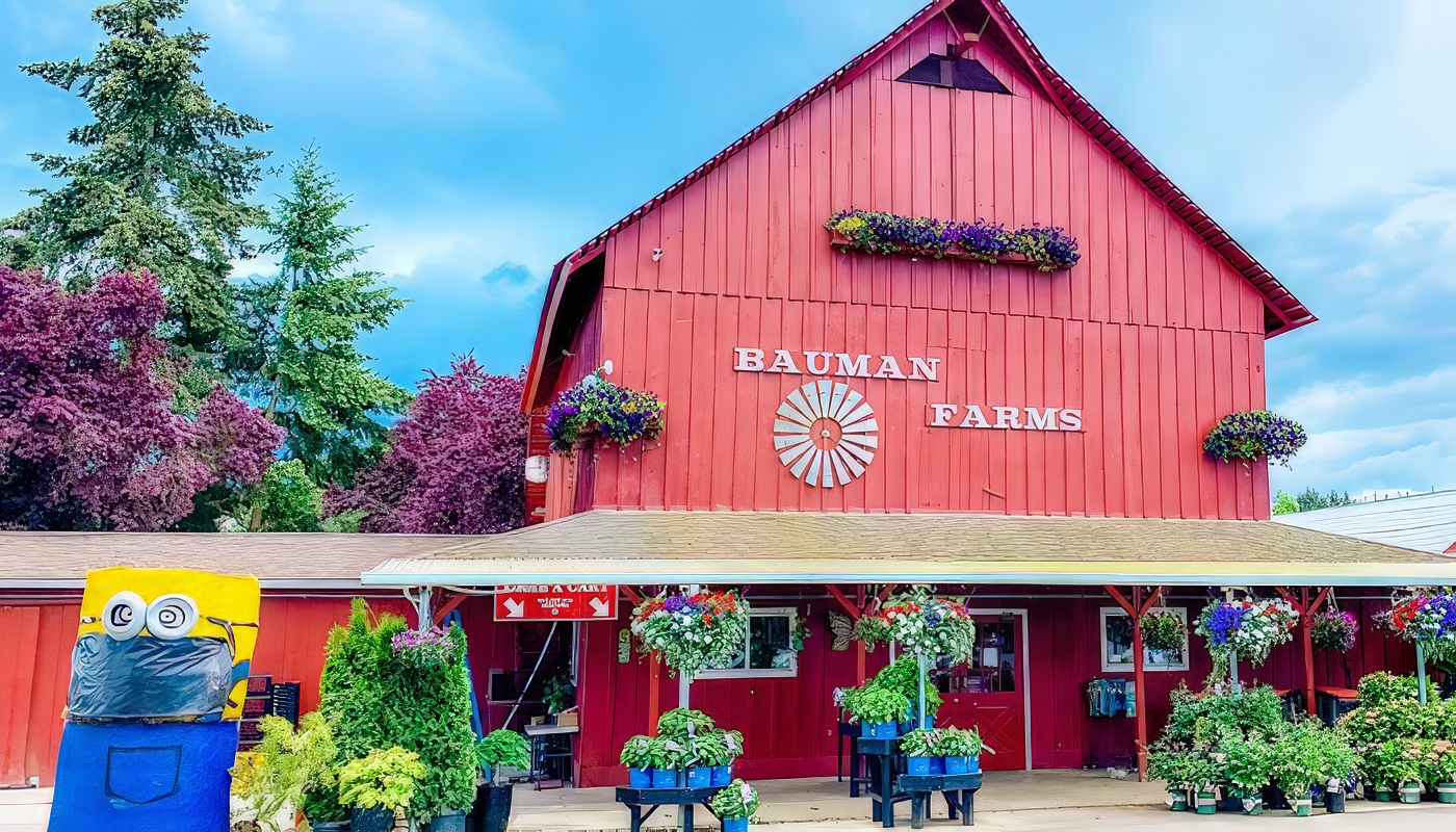 BaumanFarms Bauman's Farm Oregon