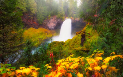 5 Breathtaking Fall Waterfall Hikes in Oregon