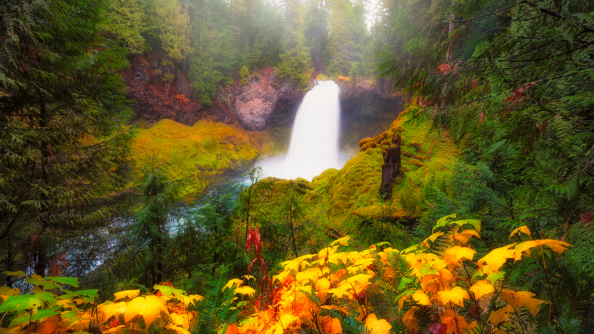 Autumn,At,Sahalie,Falls,On,The,Mckenzie,River Sahalie Falls Autumn