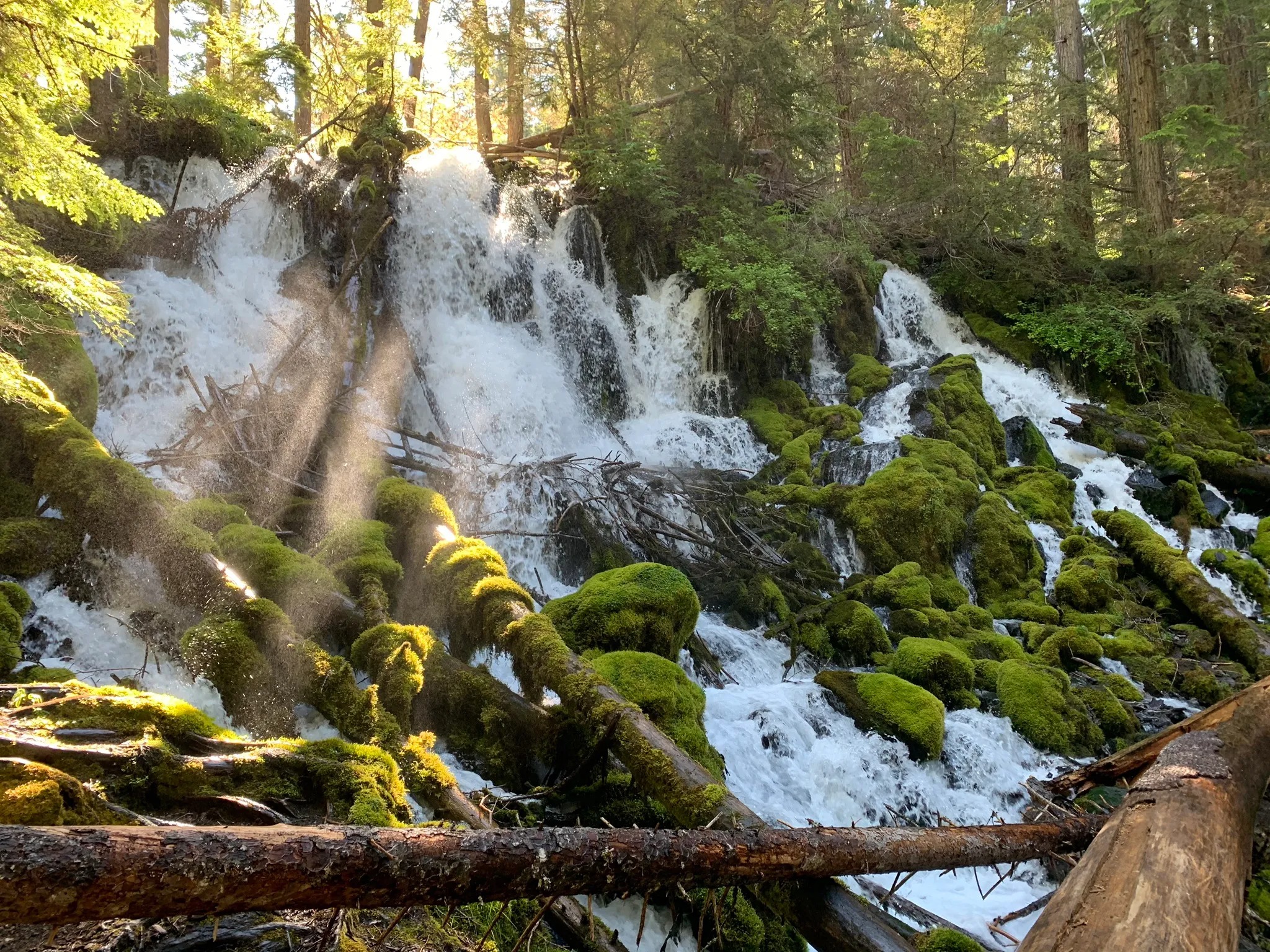Mossy falls, Steven Surdi AllTrails Clearwater Falls