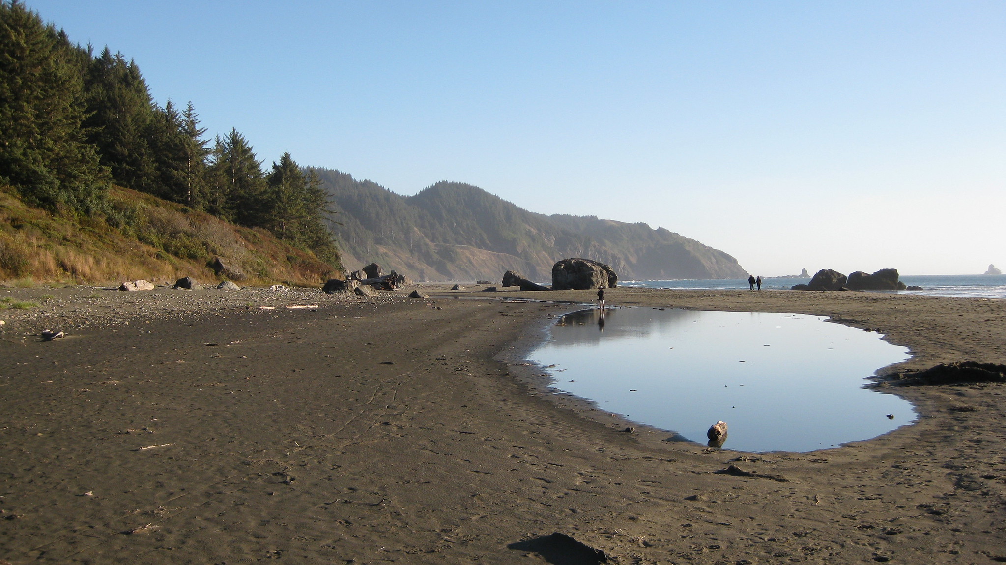 brookings