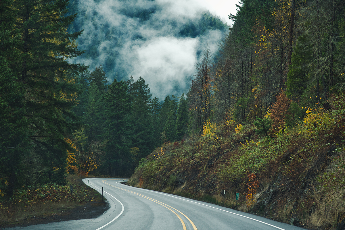 Photo,Of,The,Roads,Of,Oregon,In,The,Willamette,National