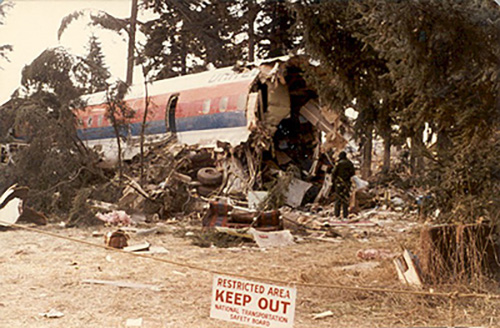 Flight 173 crash The fuselage of Flight 173 sitting in the wreckage of trees and buildings.