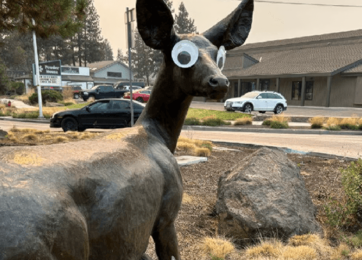 695c2b5b-82e8-4246-8d89-e5e59fd27115-4 googly eyes bend oregon