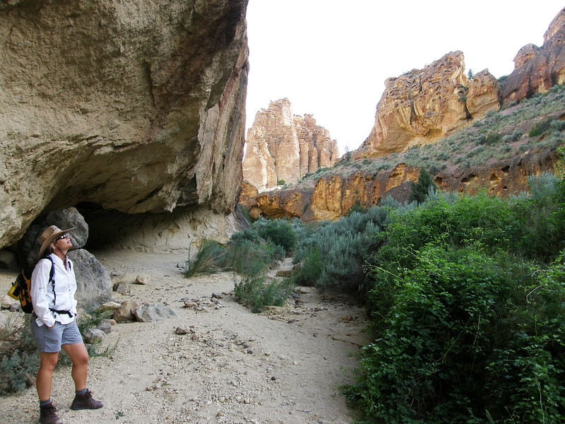 The Honeycombs Wilderness Study Area. Photo via BLM Flickr CC2. A person stares up at towering cliff walls from the base of a gulch. There are small bushes and sandy dirt at the base of the gulch.