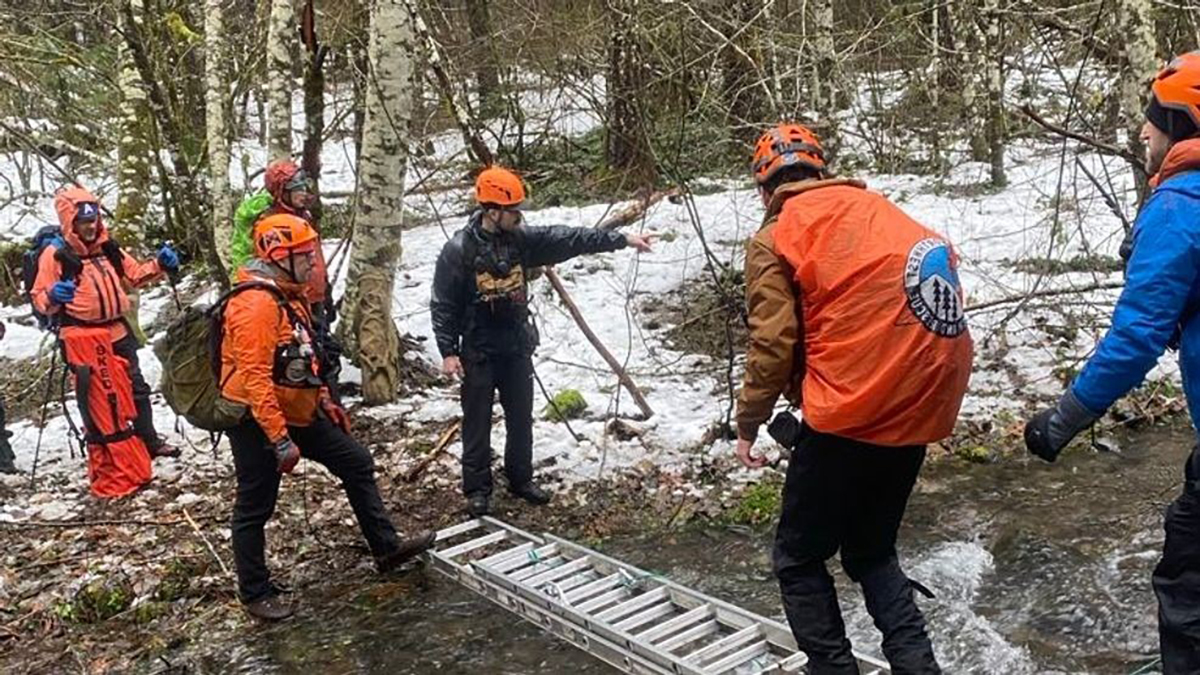 af1b9a46-6a5a-4929-8a17-bd4abaa3 Search for men in forest
