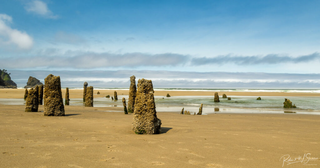 Cascadia Subduction Zone, PNW Earthquake, Plate Techtonics, 1700 Quake, Tsunami, Pacific Northwest History, Native Histories, The Big One, Interesting Oregon History, Evidence, Ghost Forests, Neskowin