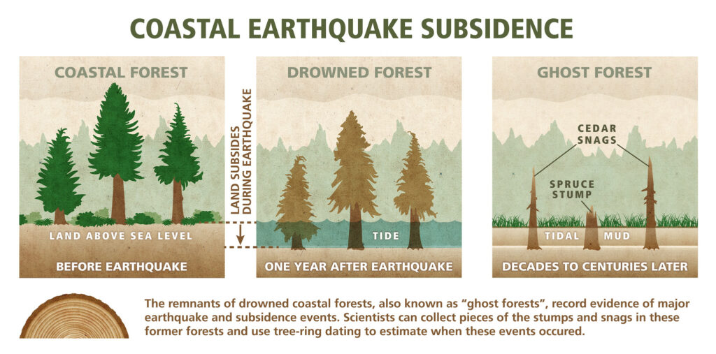 Cascadia Subduction Zone, PNW Earthquake, Plate Techtonics, 1700 Quake, Tsunami, Pacific Northwest History, Native Histories, The Big One, Interesting Oregon History, Evidence, Ghost Forests, Neskowin