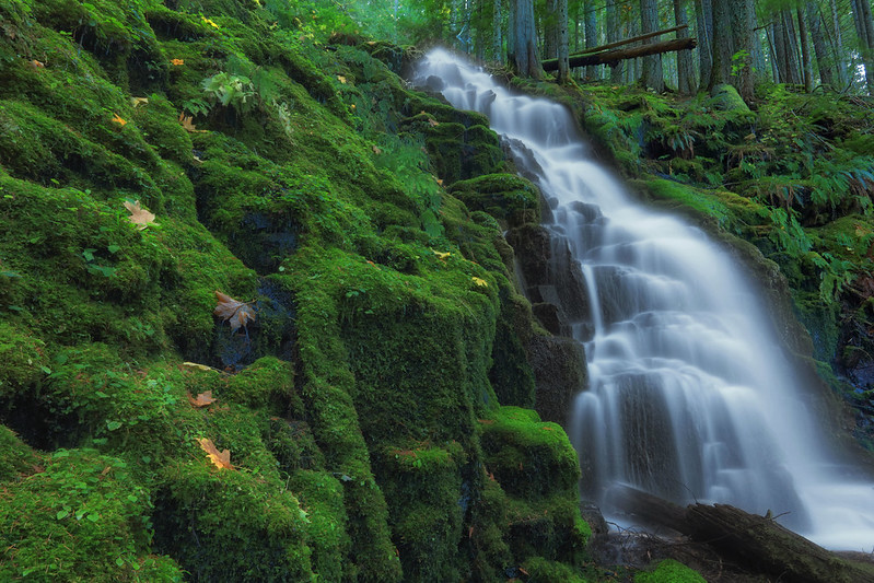 Photo by Ian Sane via Flickr. A waterfall in the Cascades of Oregon.