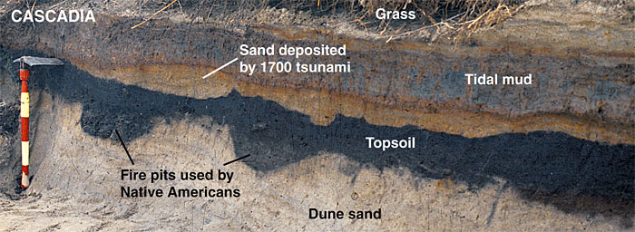 Cascadia Subduction Zone, PNW Earthquake, Plate Techtonics, 1700 Quake, Tsunami, Pacific Northwest History, Native Histories, The Big One, Interesting Oregon History, Evidence, Ghost Forests, Neskowin, Salmon River Silt Layers