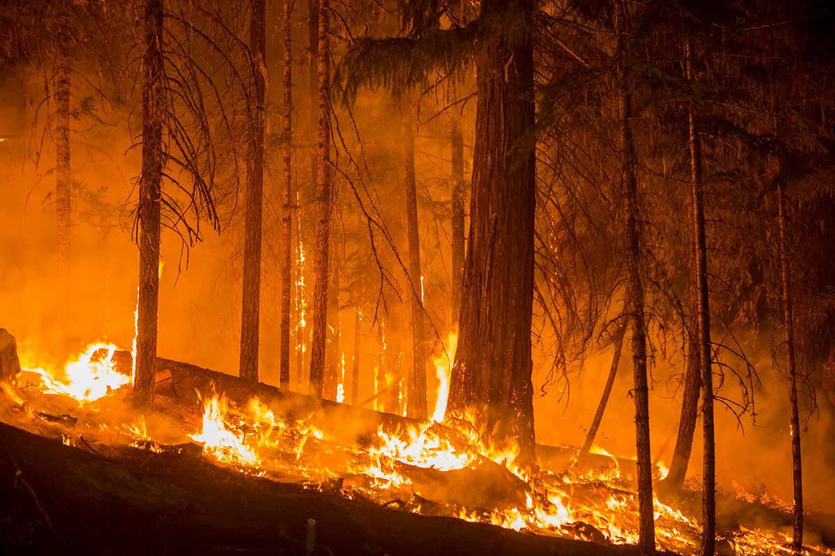 26812839637_9c74d45388_k wildfires in oregon