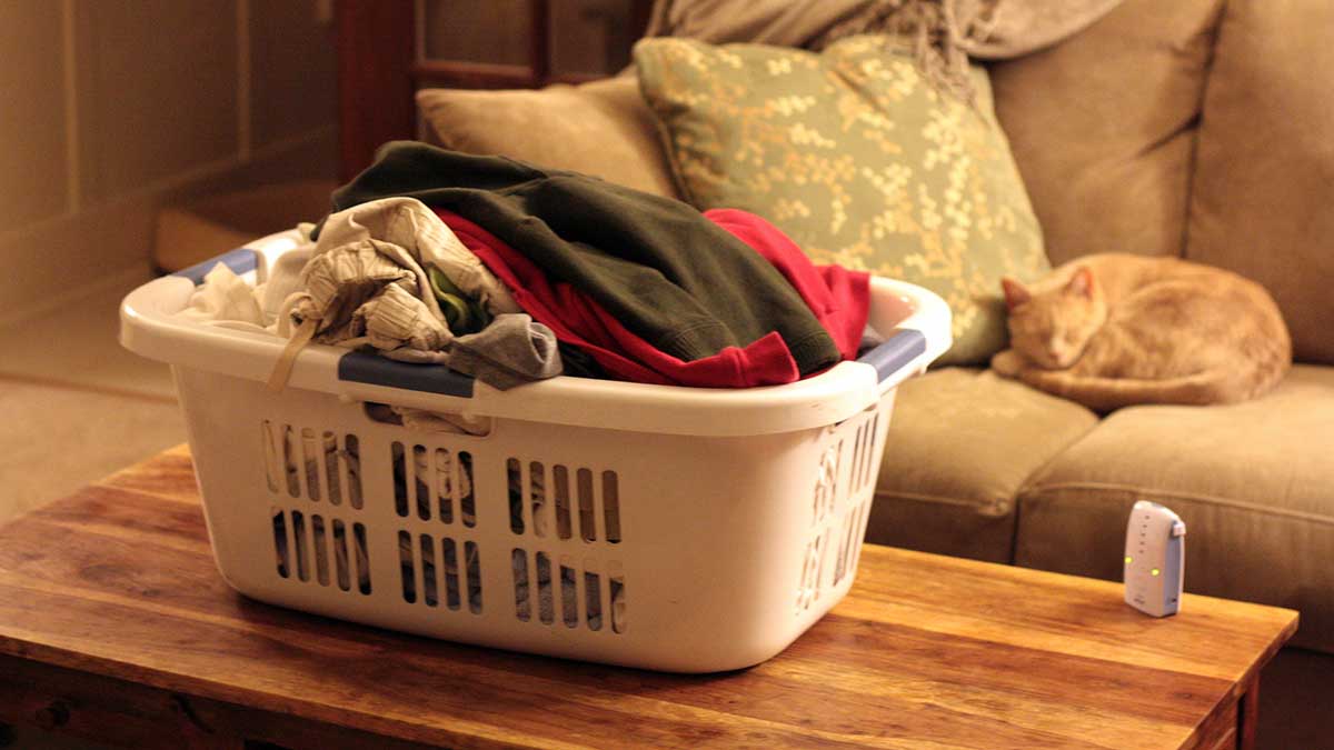 laundry-basket laundry basket