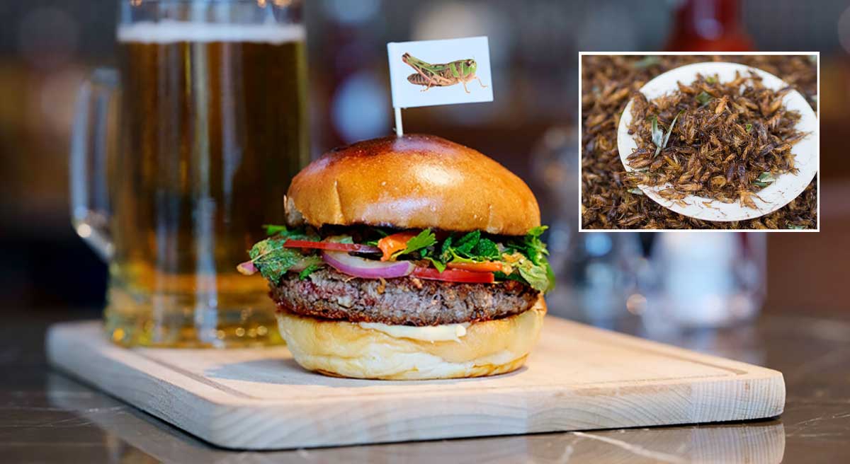 cracket-burger-2 Cricket Burger