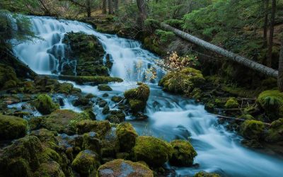10 Easy Oregon Hikes Perfect For Beginners This Spring