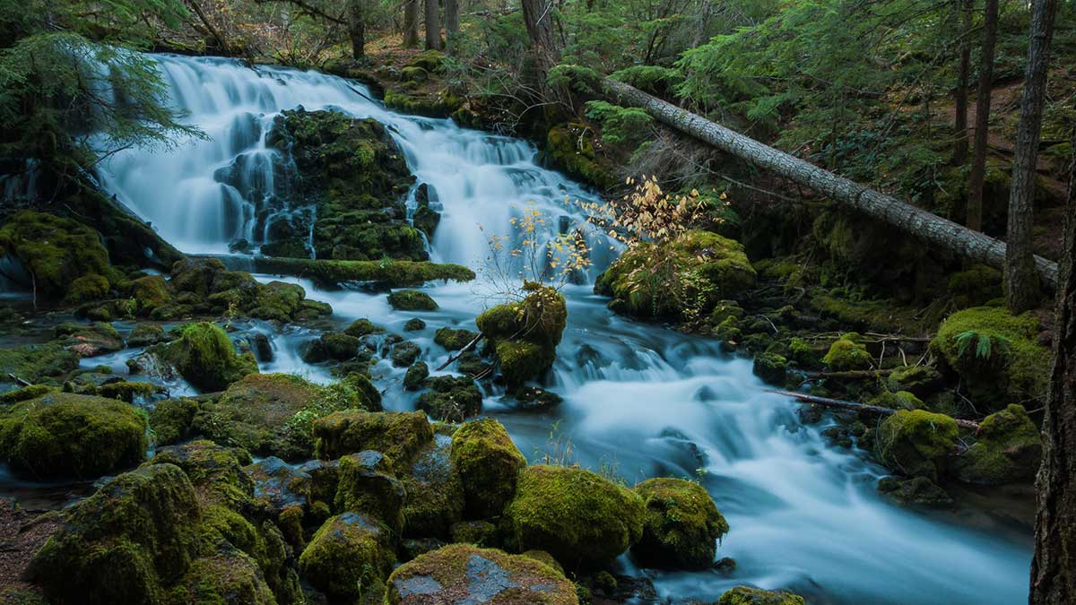 fb_waterfall_image Pearsony Falls