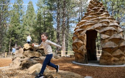 Bend’s High Desert Museum Set to Open Giant Pine Tree Playground This Weekend