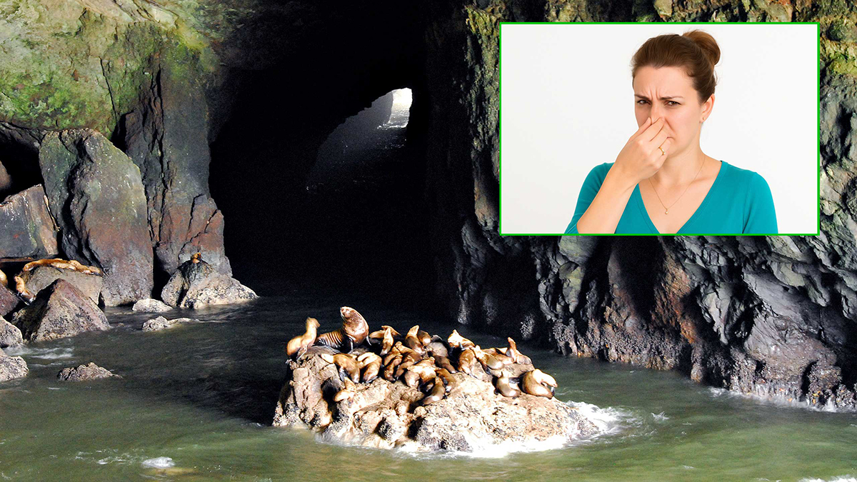 caves1