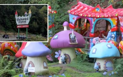 Visitors Confirm: Enchanted Forest Hits Way Harder on Shrooms Than as a Kid