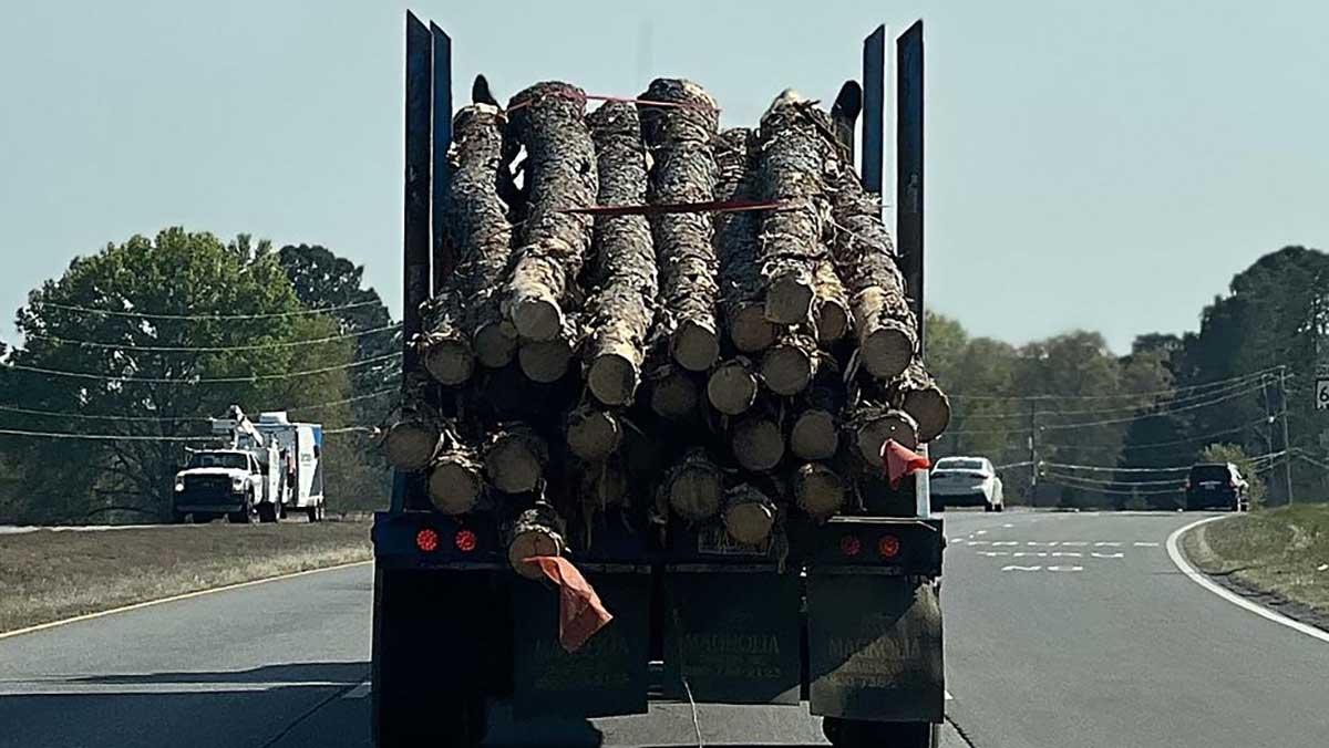 log_truck log truck