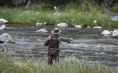 Oregon Petition That Could Ban Hunting and Fishing Reaches Signature Goal