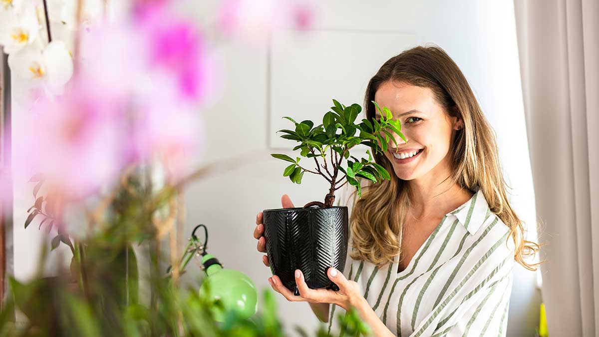plant_lady lady holding plant
