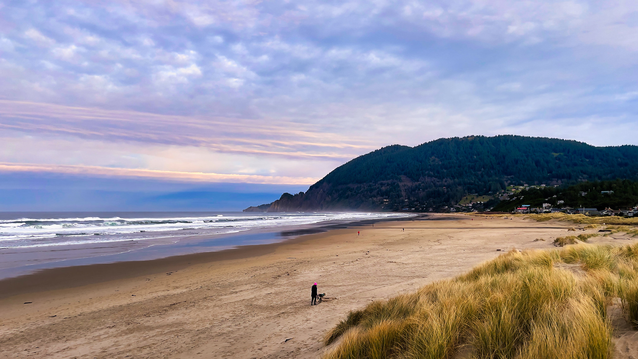 A beach in Manzanita, Oregon. Photo by Jim Nix via Flickr CC2. A woman walks a dog down a sandy beach in Manzanita, Oregon.