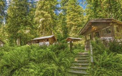 Smith Creek Village at Silver Falls: Cabin Guide & What to Know