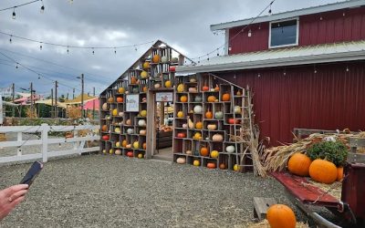 This Charming Pumpkin Patch In Oregon Doubles As A Country Store Straight Out Of A Fall Fairytale