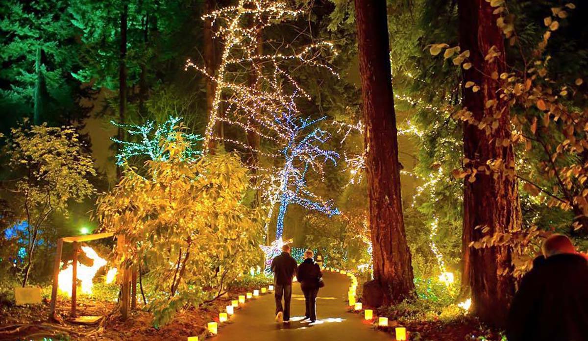 Christmas_Lights_Oregon Christmas Lights at The Grotto