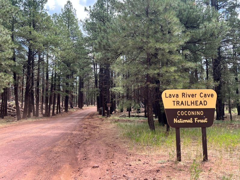 Lava River Cave trailhead sign in Coconino National Forest surrounded by pine trees