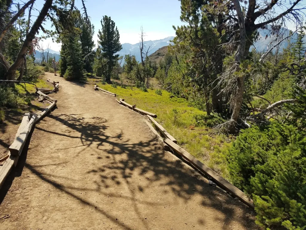 A hiking trail at the top of Howard Mountain.