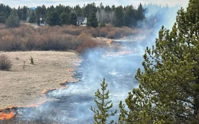 Wildfire Erupts Near La Pine, Forcing Immediate Evacuations in Central Oregon Neighborhoods