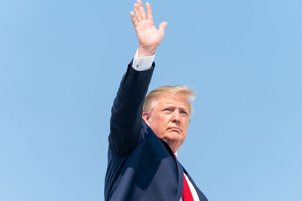 turnip Donald Trump