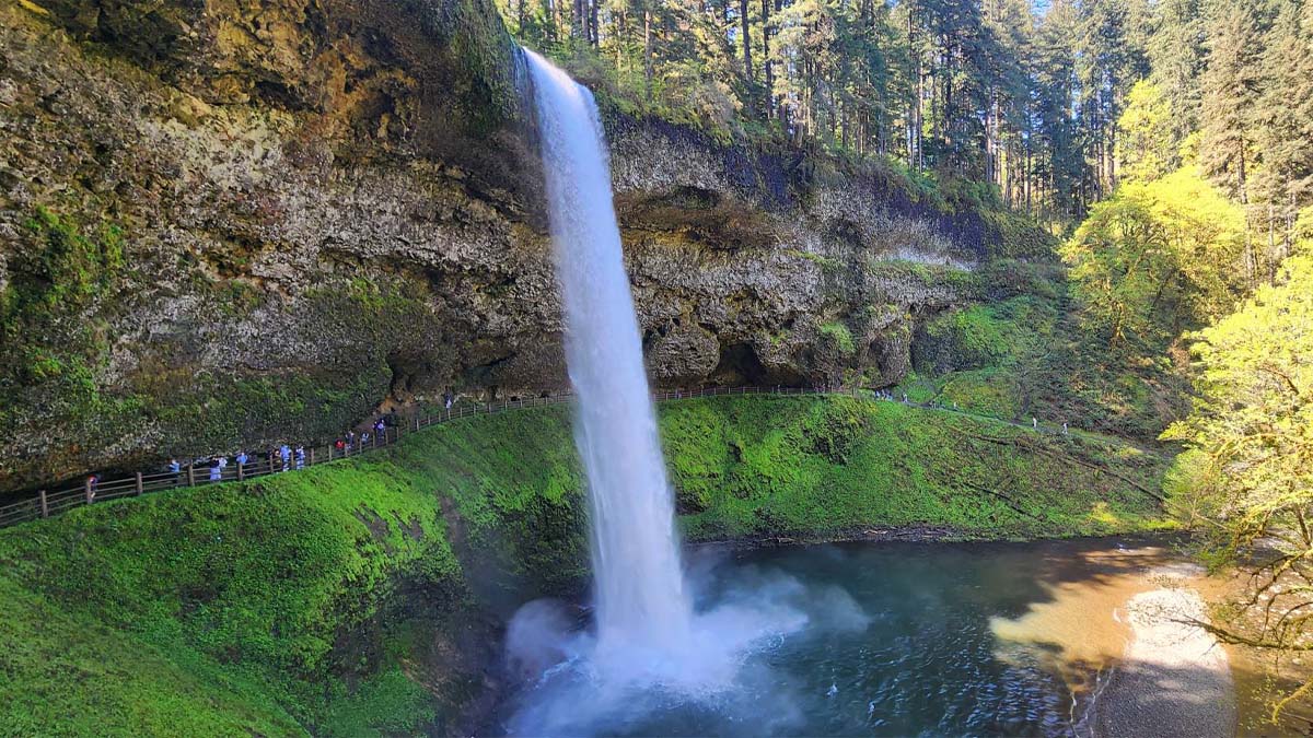 Main_Silver_Falls_Park South Falls, Silver Falls State Park in Oregon