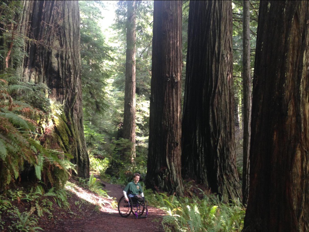 oregon redwoods trail, southern oregon coast, brookings, rogue river sisikou national forest, ada accessible hiking, sequoia trees, adventures, easy family hikes, day trips, forest bathing