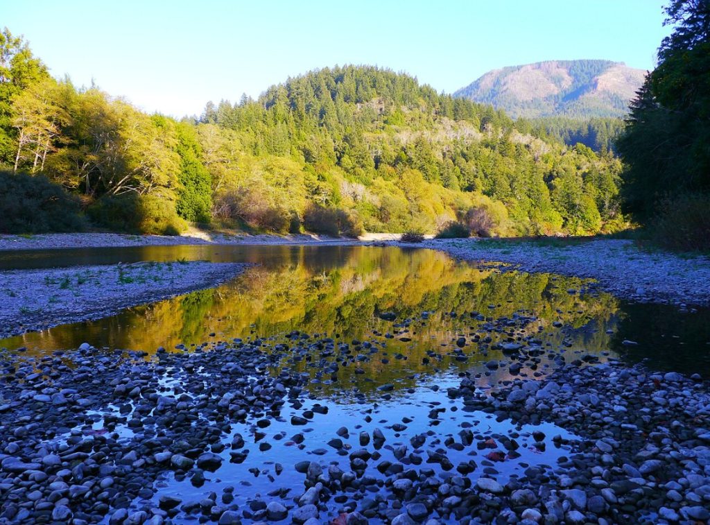 japanese bombsite trail, oregon history, hidden pacific northwest, secret places, WWII, us mainland bombing, hiking trails, off the beaten path, brookings, historical sites, heritage tree, interesting af, things to do