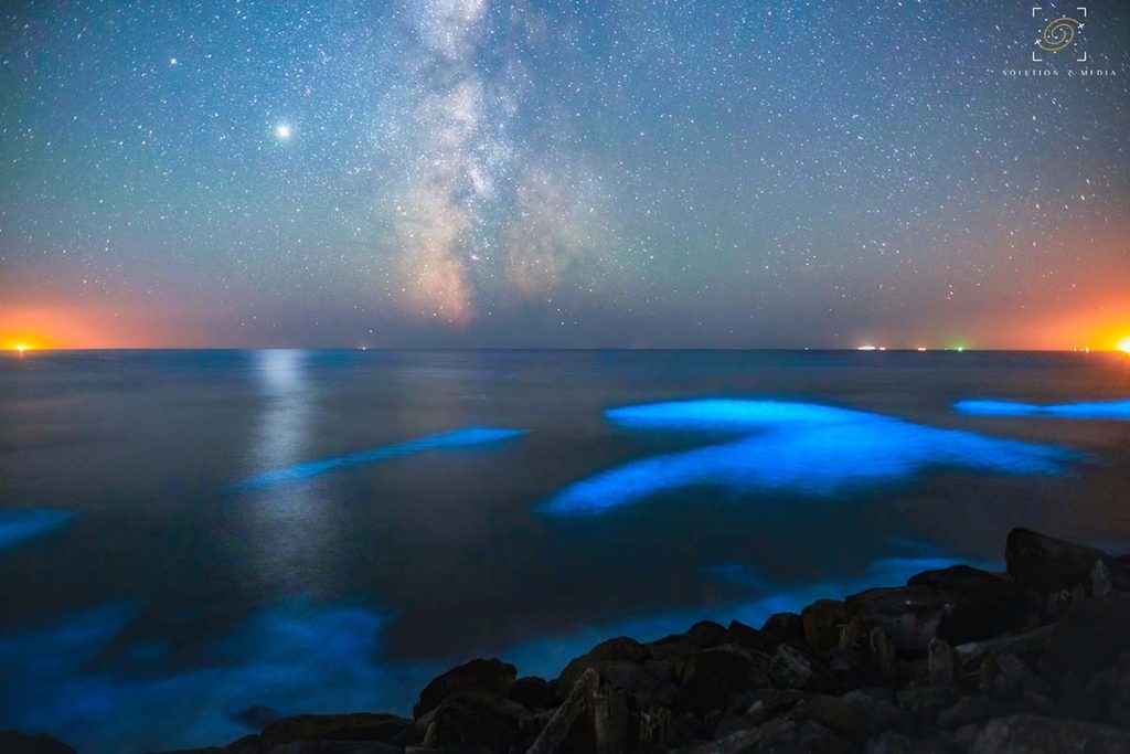 bright blue bioluminescence in breaking waves along Oregon coastline