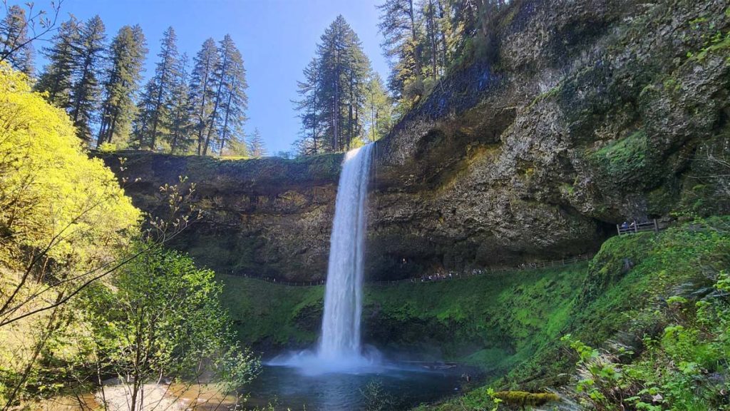Majestic spring waterfall cascading through lush forest canyon at Silver Falls State Park in Oregon.