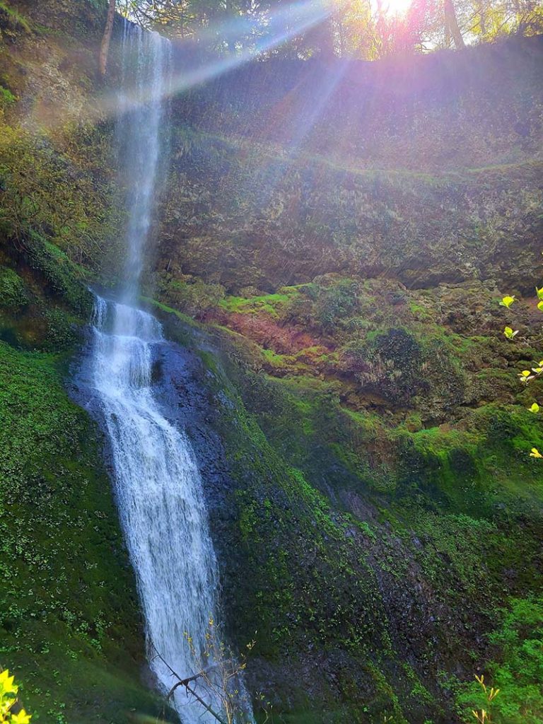 Majestic spring waterfall cascading through lush forest canyon at Silver Falls State Park in Oregon.