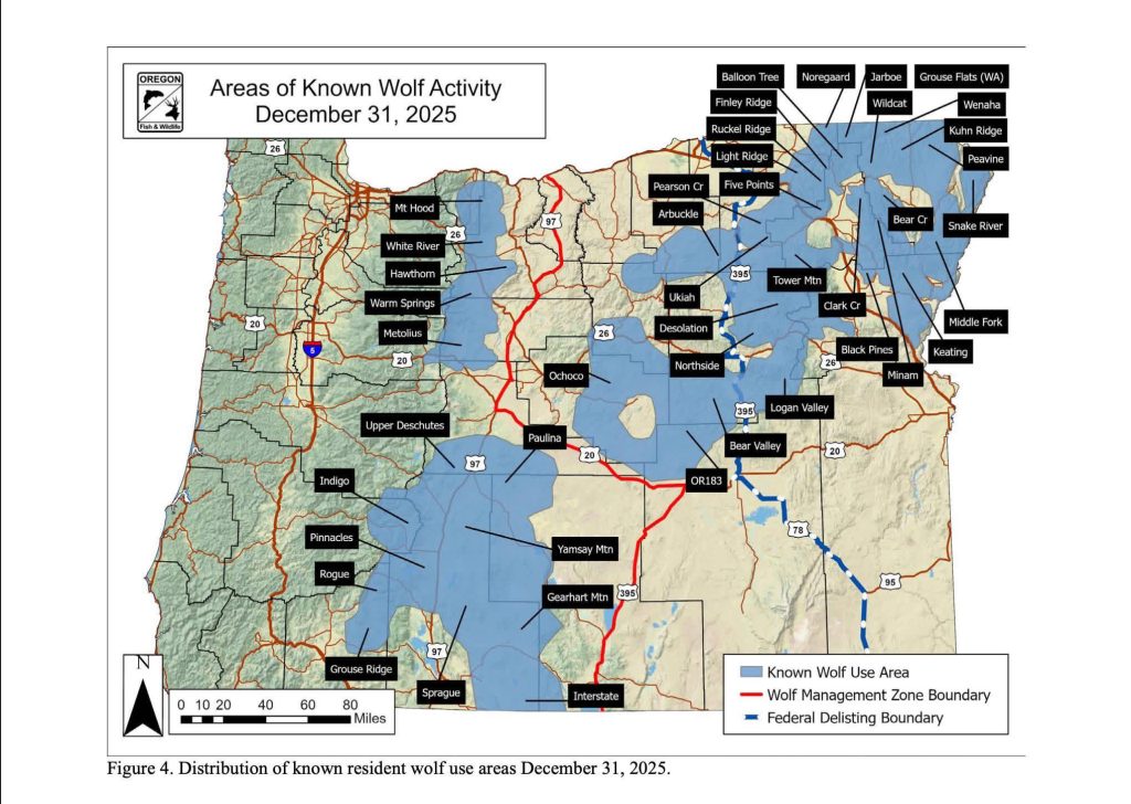 Wolves in Oregon, Growing Population, Debate, Conservation, Wildlife, Gray Wolf, Livestock, History, 2026, ODFW, Map of Activity