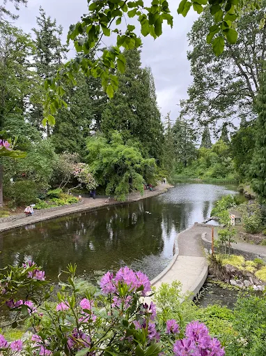 Colorful rhododendron blooms lining peaceful walking paths at Crystal Springs Rhododendron Garden in Portland Oregon