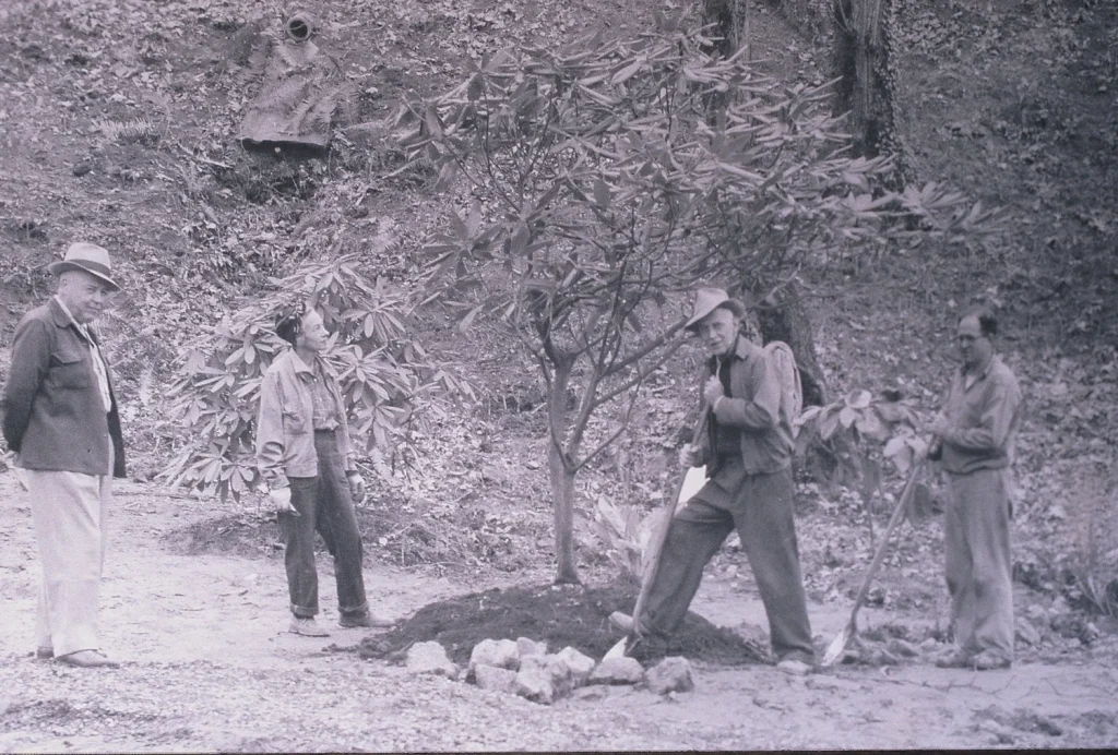 Historic photo Crystal Springs Rhododendron Garden