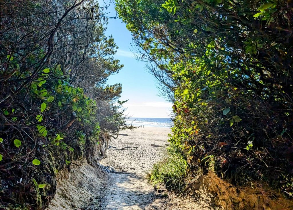 Carl G. Washburne State Park, Oregon Coast, PNW, Central Coast Beaches, hiking, whale watching, camping, RV sites, Yurts, Heceta Head, Cape Perpetua, Hobbit Trail, wildlife, pacific northwest, adventures, family fun, things to do, where to go, Yachats, Florence