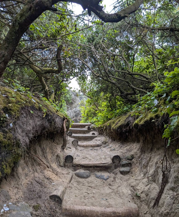 Carl G. Washburne State Park, Oregon Coast, PNW, Central Coast Beaches, hiking, whale watching, camping, RV sites, Yurts, Heceta Head, Cape Perpetua, Hobbit Trail, wildlife, pacific northwest, adventures, family fun, things to do, where to go, Yachats, Florence