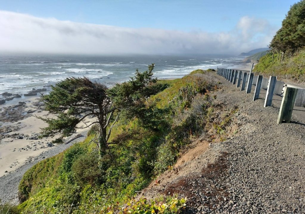 Carl G. Washburne State Park, Oregon Coast, PNW, Central Coast Beaches, hiking, whale watching, camping, RV sites, Yurts, Heceta Head, Cape Perpetua, Hobbit Trail, wildlife, pacific northwest, adventures, family fun, things to do, where to go, Yachats, Florence