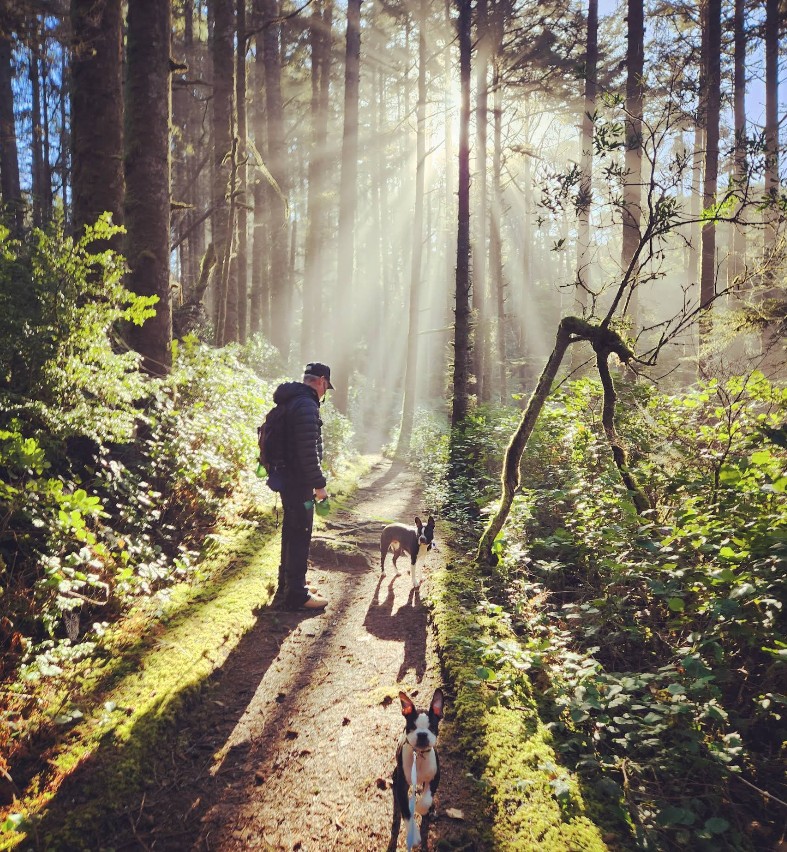 Carl G. Washburne State Park, Oregon Coast, PNW, Central Coast Beaches, hiking, whale watching, camping, RV sites, Yurts, Heceta Head, Cape Perpetua, Hobbit Trail, wildlife, pacific northwest, adventures, family fun, things to do, where to go, Yachats, Florence